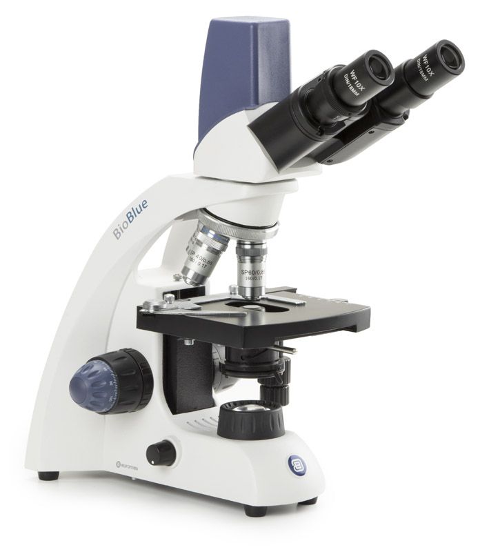 Microscope binoculaire BioBlue-Lab x600